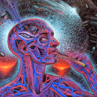 Lucid Dreamers  #584