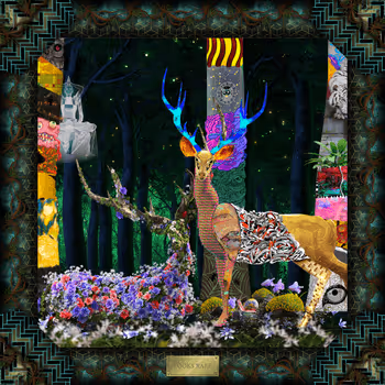 Frames By Murall