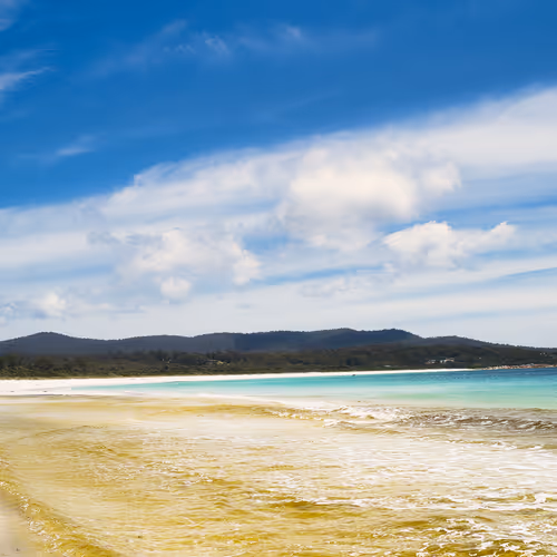 Terra Australis From Coastline To Cosmos