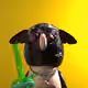 286