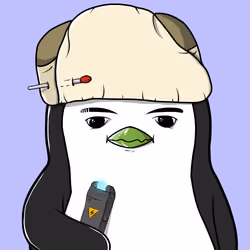 1243