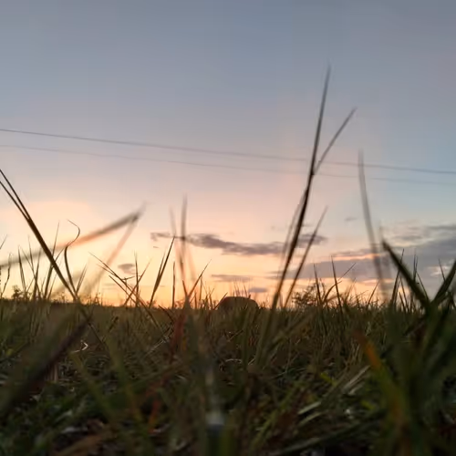 Skyverse Above The Noise
