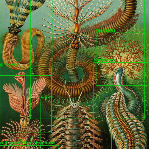 Visions By Orkhan