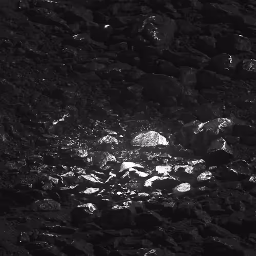 Item #5400070001 Media