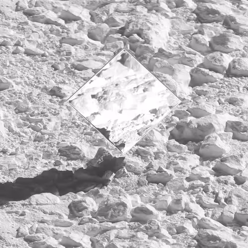 Item #5400010008 Media