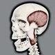 2026