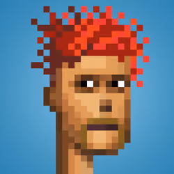 Punk #8477
