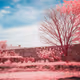Moments #72