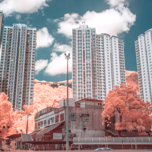 Momentsasia365