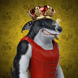 Alpha Sharks #41