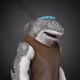 3596