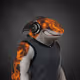 5300