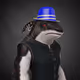 5862