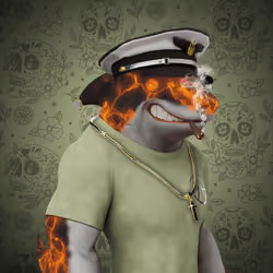 Alpha Sharks #2072