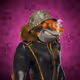 4922