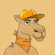 Camel #1971