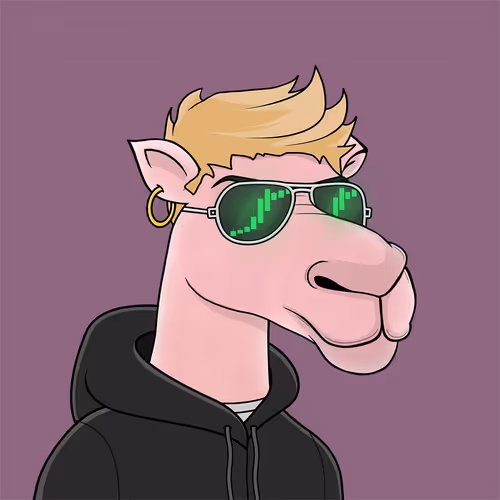Camelsnftio