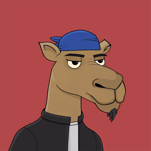 Camelsnftio