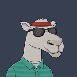 Camel #1862
