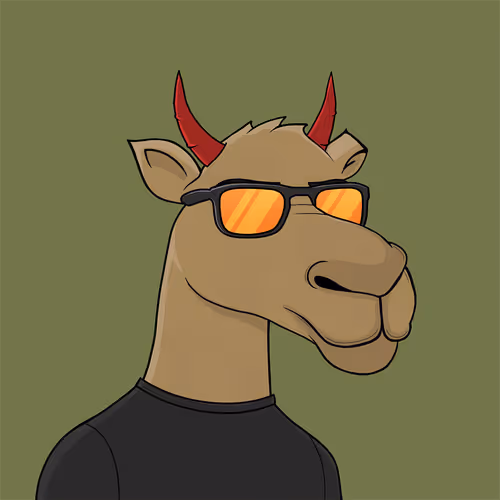 Camelsnftio