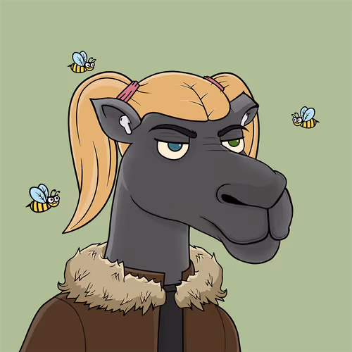Camelsnftio