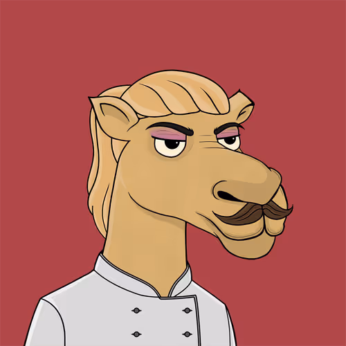 Camelsnftio