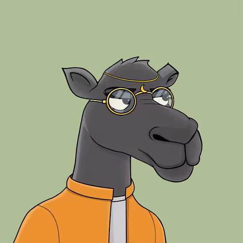 Camelsnftio