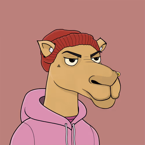 Camelsnftio