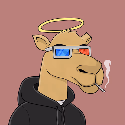 Camelsnftio