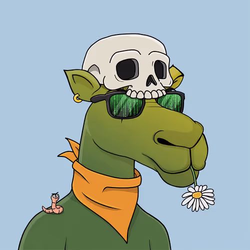 Camelsnftio