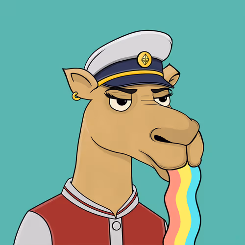 Camelsnftio