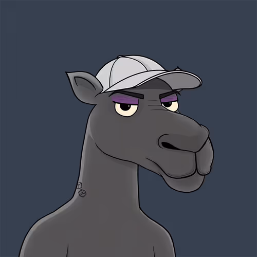 Camelsnftio