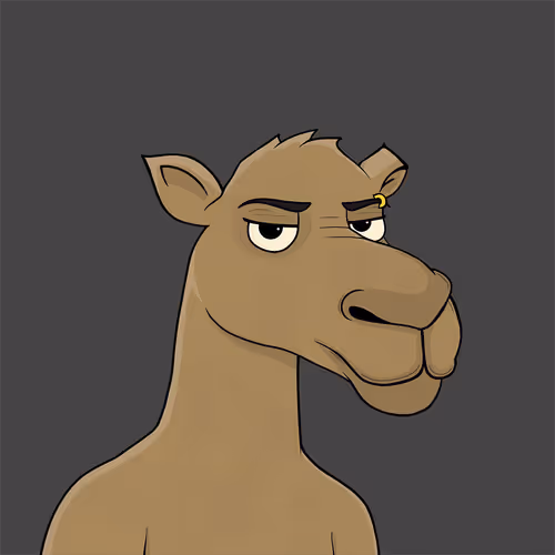 Camelsnftio