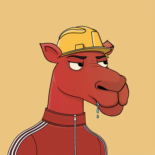 Camelsnftio