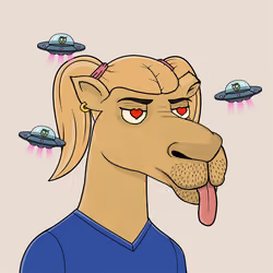 Camel #6685