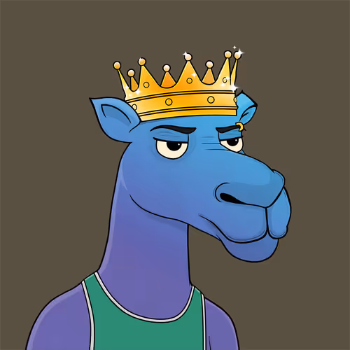 Camelsnftio