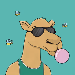 Camel #3804