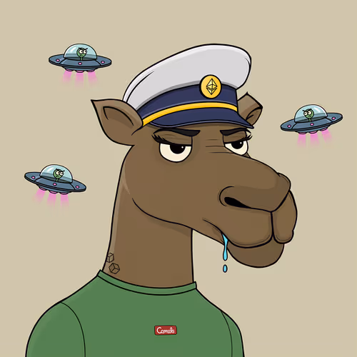 Camel #3990