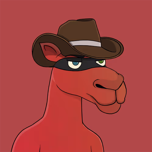 Camelsnftio