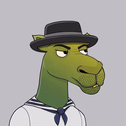 Camelsnftio
