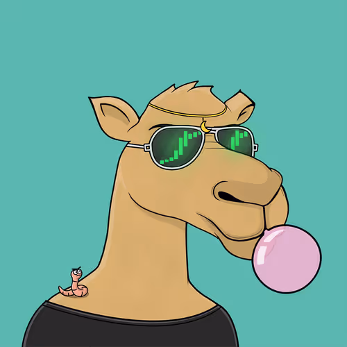 Camelsnftio