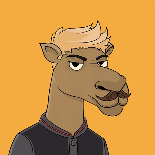 Camelsnftio