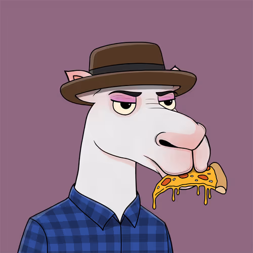 Camelsnftio