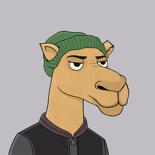 Camelsnftio