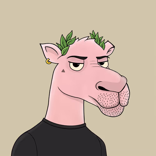 Camelsnftio