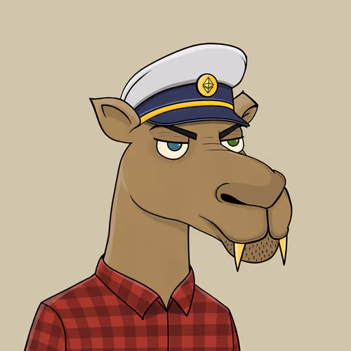 Camel #664