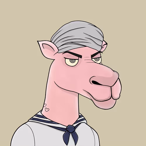 Camelsnftio