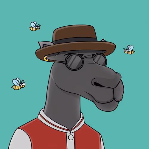 Camelsnftio