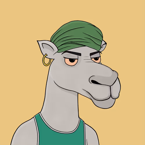 Camelsnftio