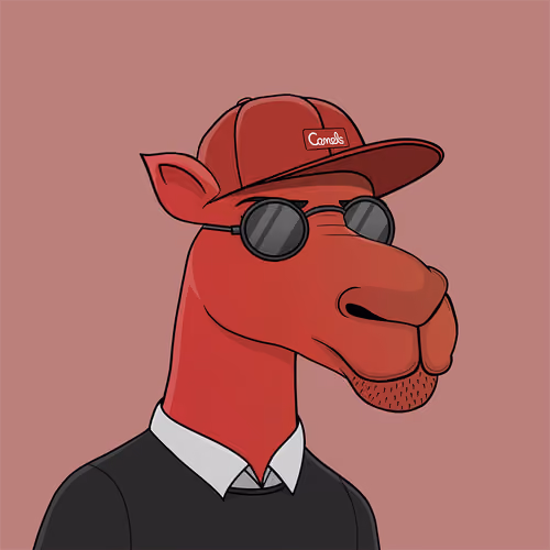 Camel #1587
